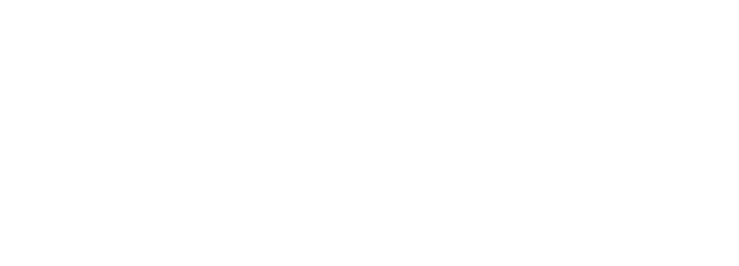 Satyamaya & Partners LLP